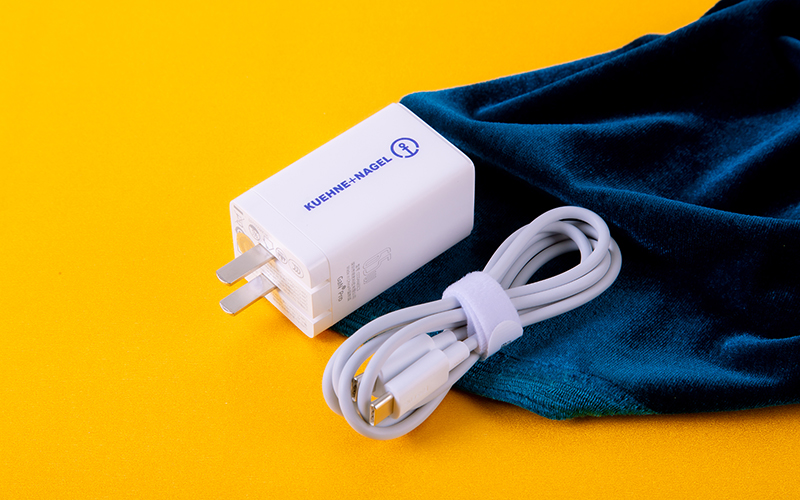 Multi-Port Fast Charger